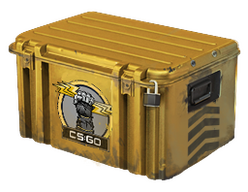 Glove Case