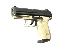 P2000 | Ivory (Field-Tested) CS2 skin
