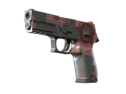 P250 | Constructivist (Factory New) CS2 skin