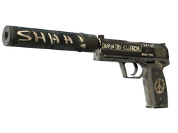 StatTrak™ USP-S | Flashback (Battle-Scarred) CS2 skin