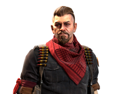 The Elite Mr. Muhlik | Elite Crew CS2 skin
