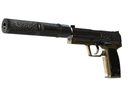 USP-S | Lead Conduit (Well-Worn) CS2 skin